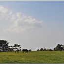 평화축산 이미지