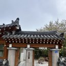 울산 무거동카페 분위기있는 한옥카페 싱귤러커피 후기