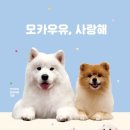 우유사랑
