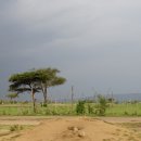 아프리카 7개국 종단 배낭여행 이야기 (7) 케냐(6).....사파리투어 둘쨋날 오후(마사이 마을과 마사이 이야기) 이미지