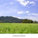 아주체육공원 이미지