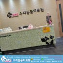 수지동물의료원 이미지