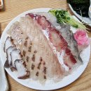 탕과막회 | 판교 야장 맛집 대진항막회 내돈내산 횟집 재방문 후기
