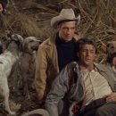 청춘역1979 | 육체의 유산 (Home from the Hill, 60년) 가족 성장 드라마 수작