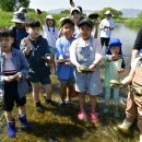 금호강5 이미지