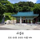 가섭사 - 1541 | 오르는 것이 곧 수행 음성 가섭사