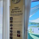 둔기어탕 | 울산삼동 대암댐 둔기어탕 어탕칼국수 내돈내산