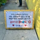 무지개상사 | 울산 현지인 맛집 육일횟집 주전 물회 웨이팅 솔직후기