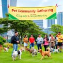 펫더데이 | 인천 송도 반려견 산책모임 총정리｜함께 걷는 펫프렌들리 라이프