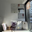 이쁘면다냥 | [수원고양이미용 솔직후기]10살 아비시니안 무마취 미용해본 정자동 이쁘면다냥