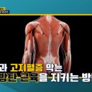 당뇨 고지혈증! 방탄근육으로 막아라! 이미지