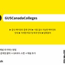 티솜 이미지