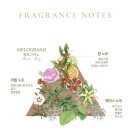 파이스 인터네셔널 이미지