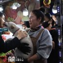 왜 노인네 택시기사한테만 급발진이 일어나는걸까? 이미지