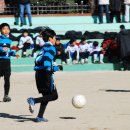 금정초등학교 Daum카페