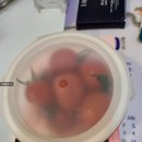 땅스부대찌개 예산점 | 3월 주간일기3