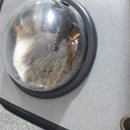 도담도담동물병원 이미지