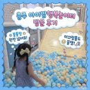 팽고리산길 | [내돈내산] 충주 아이맘행복놀이터 방문 후기｜가성비 최고 실내놀이터 (운영시간, 이용안내 꿀팁)