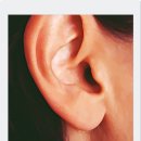 폴리한의원 이미지