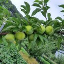 수암리경로당 이미지