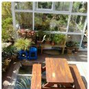 배나무펜션 이미지