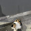 정우애드