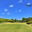 크라운CC(대중형 27홀) | 제주 크라운cc 3인 후기 겨울에 딱 좋은 대중제 골프장 부킹