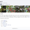 [제주] 노르딕 워킹 걷기 수업, 이마트, 뚜레쥬르, 스타벅스