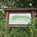 수원팔색길 매실길 이미지