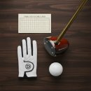 파크골프 입문 | 🏌️‍♂️ 데이비드 파크골프채 DP101 솔직 후기: 입문용으로 정말 괜찮을까?