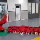 코리아합기도 이미지