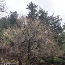 신천 옥 사우나 이미지