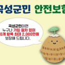 곡성군청 이미지
