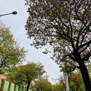 수원시 팔달구 향교로 93 이미지