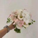 솔솔 | Wedding Plan #10. 본식 부케는 어떻게 골랐을까?｜솔솔플라워 예약 후기