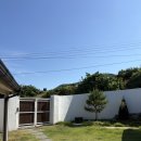 스테이 다옴 이미지