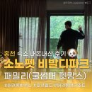 조박사라면 | 같이 가기 좋은 숙소 / 소노펫 비발디파크 쿨썸머 펫캉스 패밀리 (오션월드, 픽업식당 조박사화로구이)