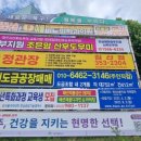 대불공원 좌측 이미지