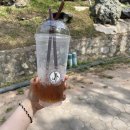 자인빌매점 | 태국 패키지 여행 ㅣday 4~5 백만년 바위 공원, 악어농장, 도이창 커피, 망고 비빔밥