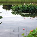 경산파크골프 이미지