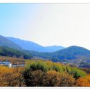 산수유피는마을 이미지