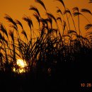 에코리조트 이미지