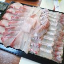 만복해물찜 | 창원 상남동 만복횟집 점심 가족 외식 두툼 방어회 맛집