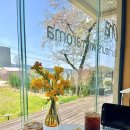 셰프의 정원 | 카페 추천] 르끄르동블루 셰프의 디저트와 정원이 있는 애견동반 세종정원카페 이용 후기_오하라운지