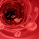 밤새 헬스장 이미지