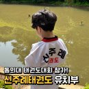 신주례태권도 체육관 | 신주례태권도 유치부 동의대 총장배 태권도대회 후기