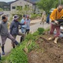 정영농장 이미지