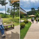 새벽(주) 이미지