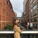 민들레 농장 | 30살 워홀러의 카불처 딸기농장 2주 차 현실 기록...갈 준비 + 카셀라 인터뷰 후기 + 브리즈번 도시...