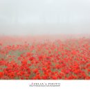 분황사주차장 이미지